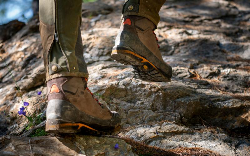 WASATCH GTX