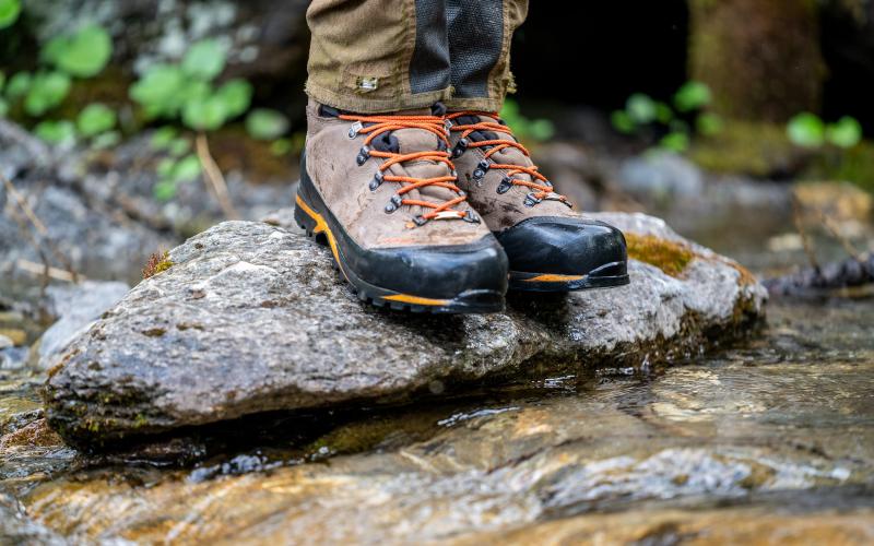 WASATCH GTX